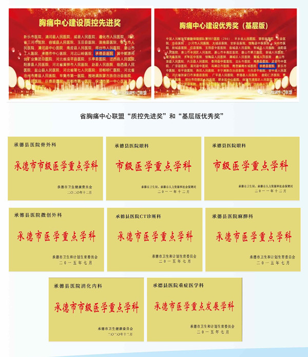 医院荣誉汇总 - 副本 (2).jpg